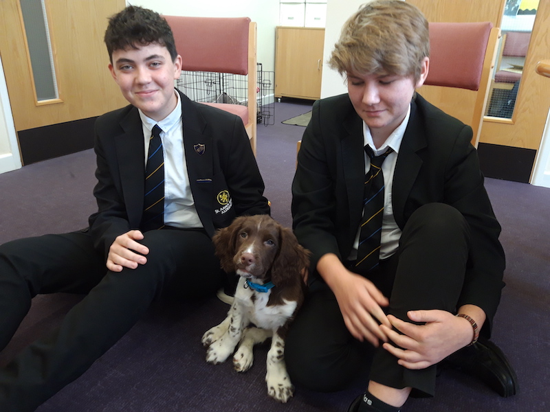 st annes school alderney therapy dog 