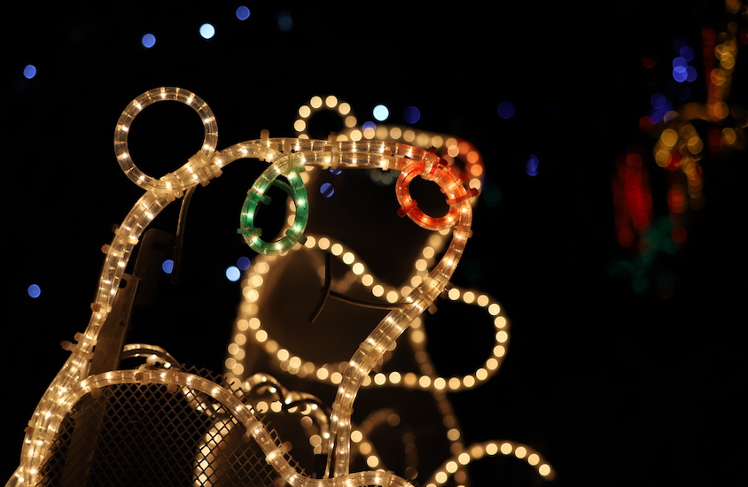 Christmas_Lights_polar_bear.JPG