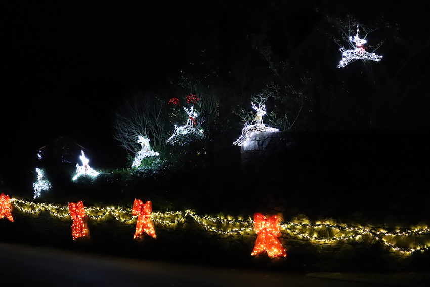 Christmas_Lights_St_Saviours_Comte_Road_2.JPG