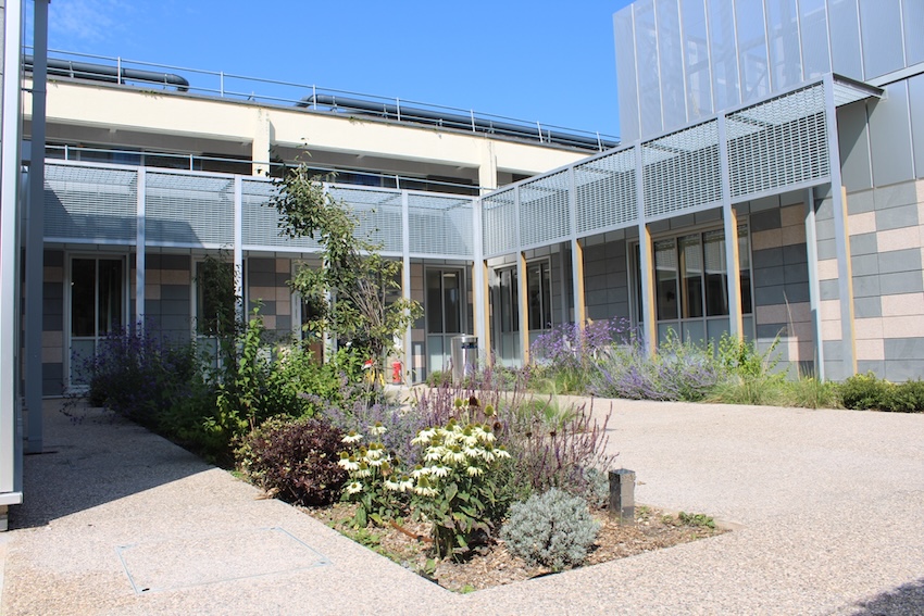 The new Critical Care Unit at the Princess Elizabeth Hospital 