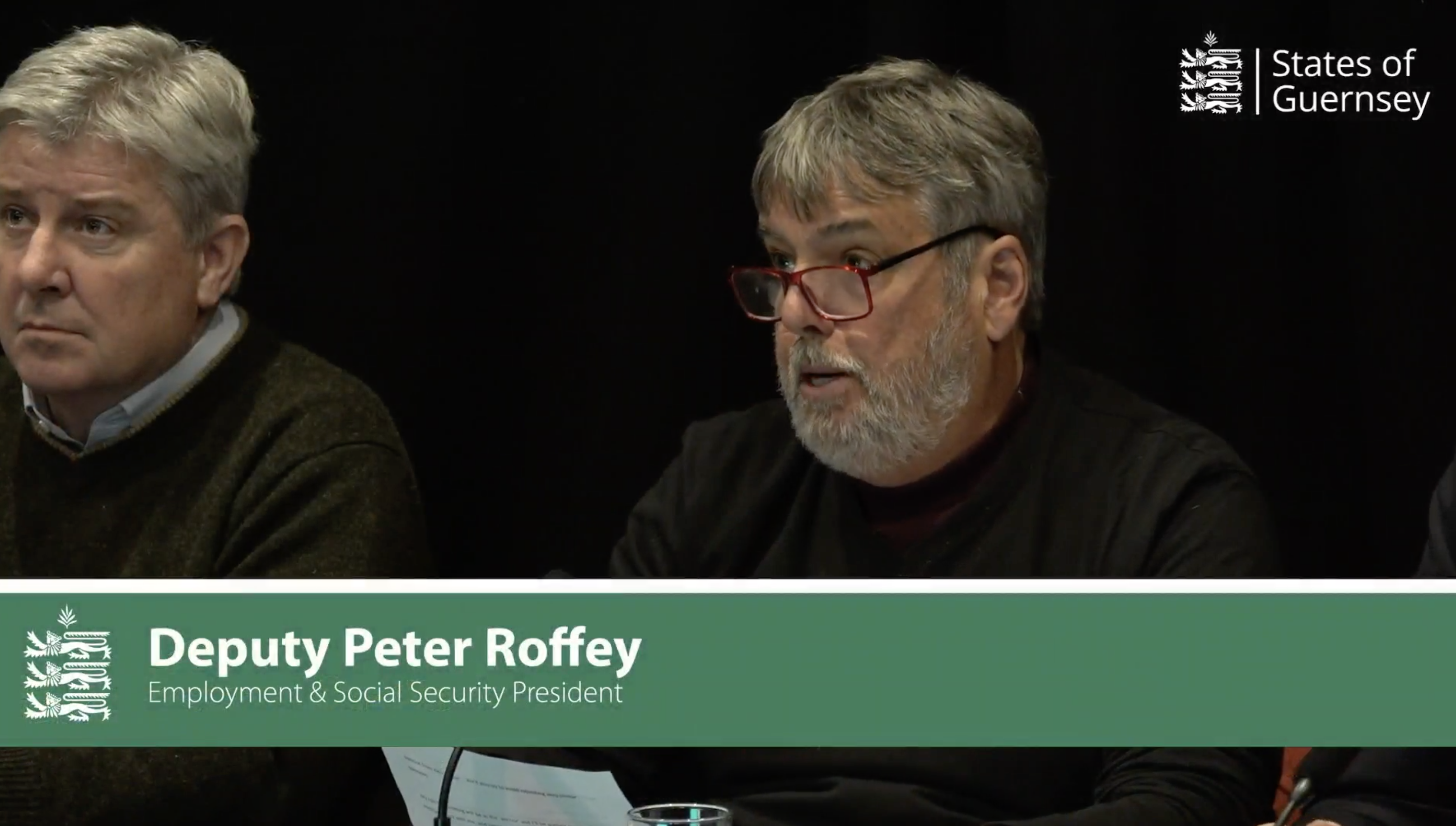 Peter Roffey tax review 