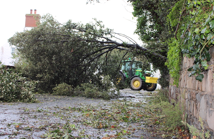 Storm_Ciaran_Vale_road_tree_down_tractor.JPG