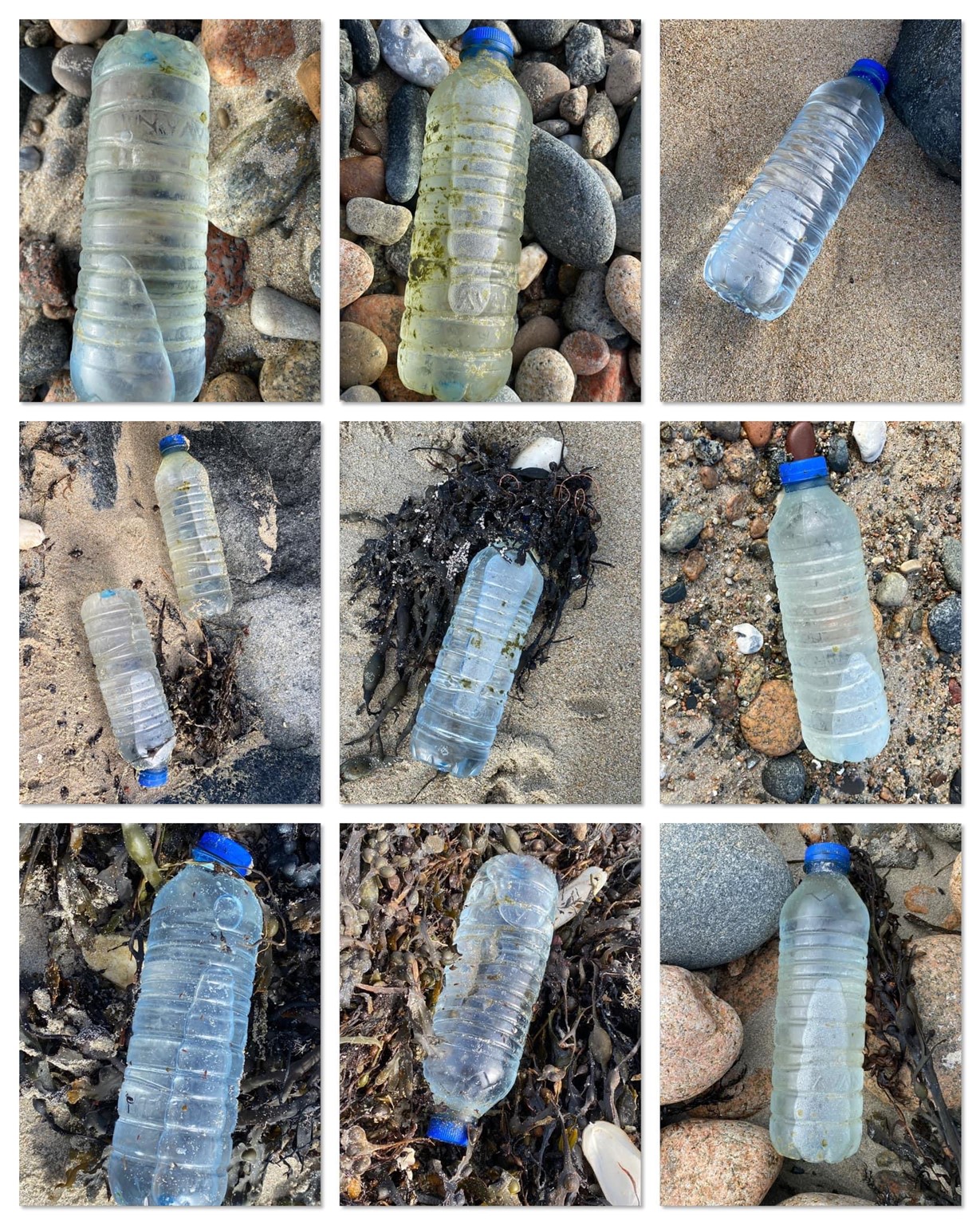 Plastic_bottle_from_Feb_2022_cargo_spillage.jpg