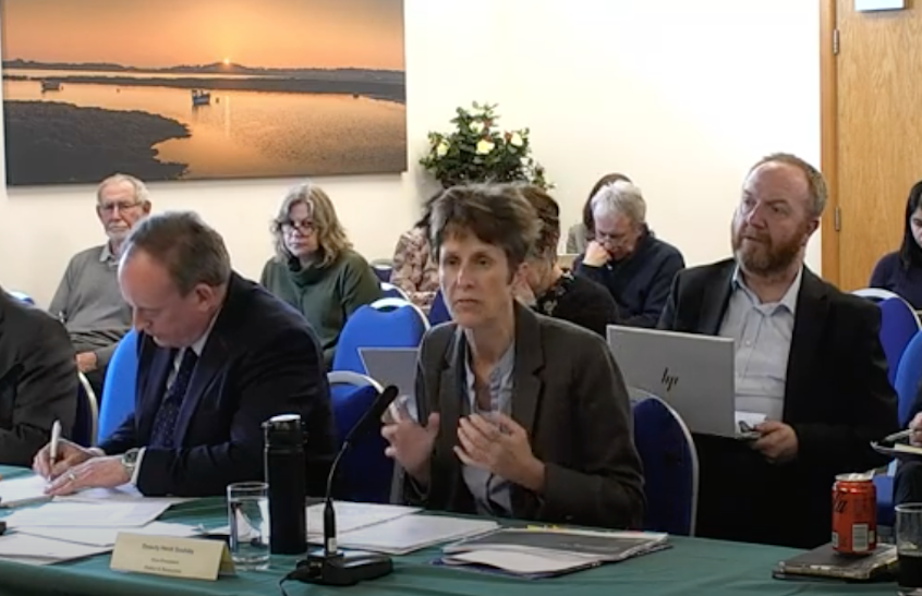 Deouty_Heidi_Soulsby_Scrutiny_hearing_with_PR.png