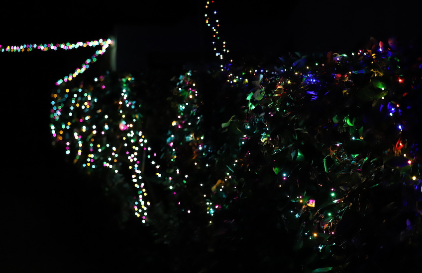 Christmas_lights_2024_j.JPG