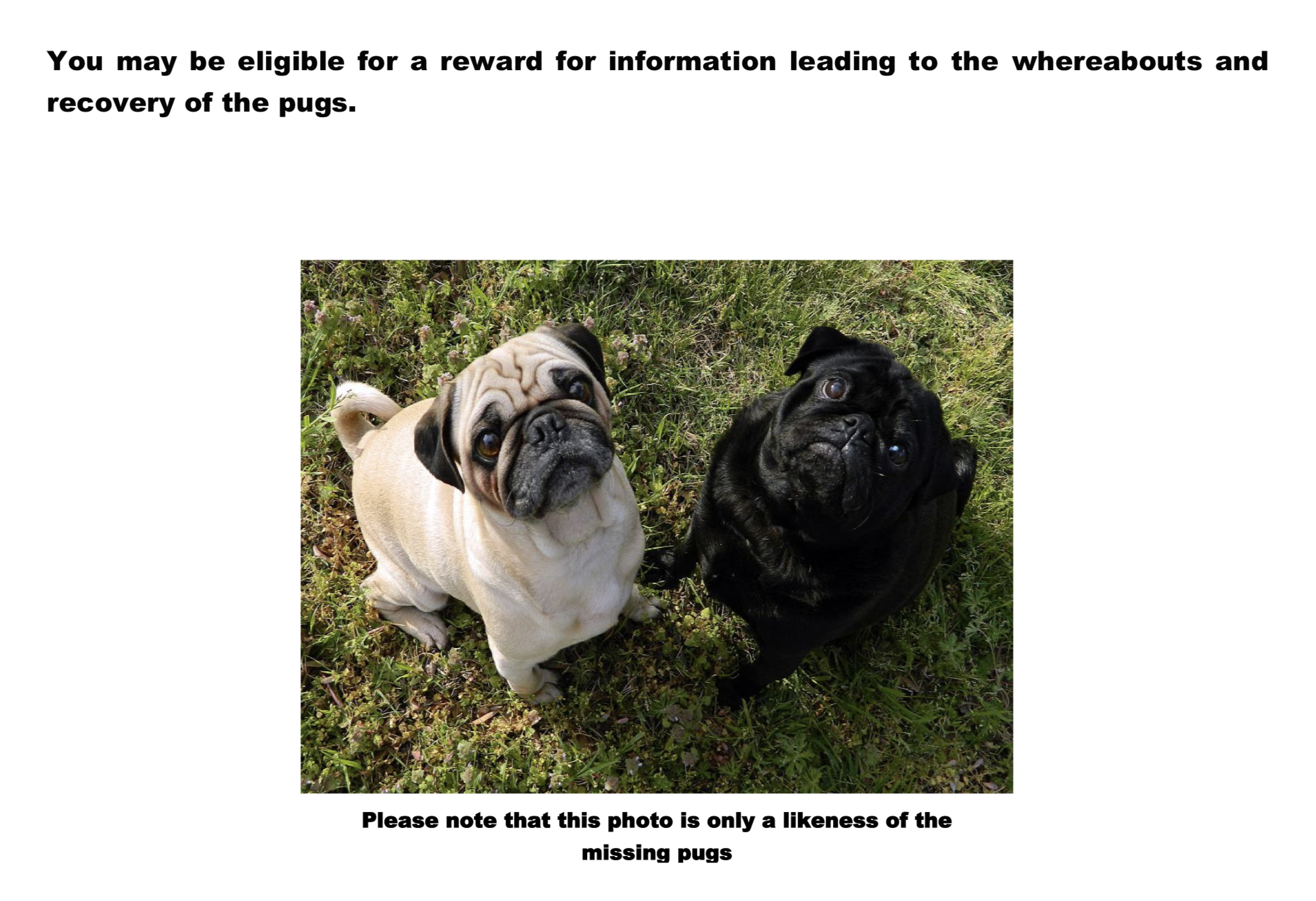 missing_pugs_poster.png