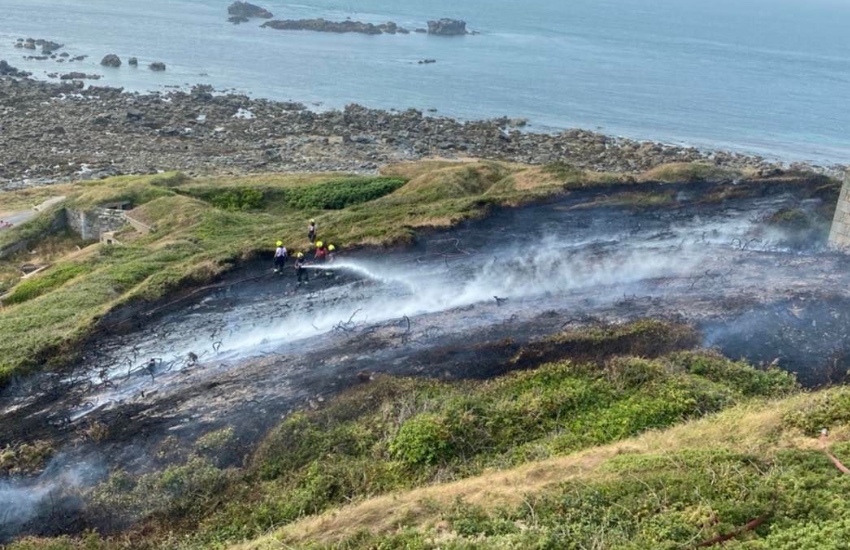Alderney_wildfire_3.jpg