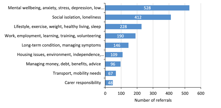 Bailiwick_Social_Prescribing_referals_by_need.png