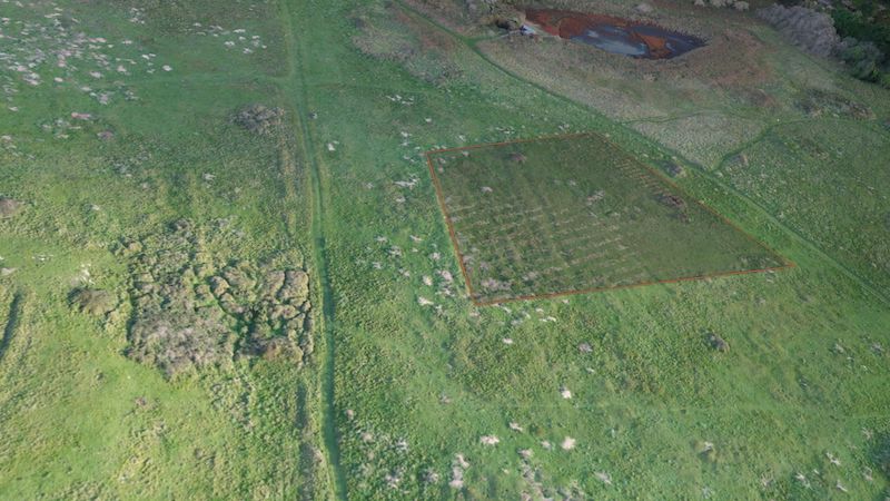 Drone photogrammetry data showing the area of the former forced and slave labourers’ cemetery 