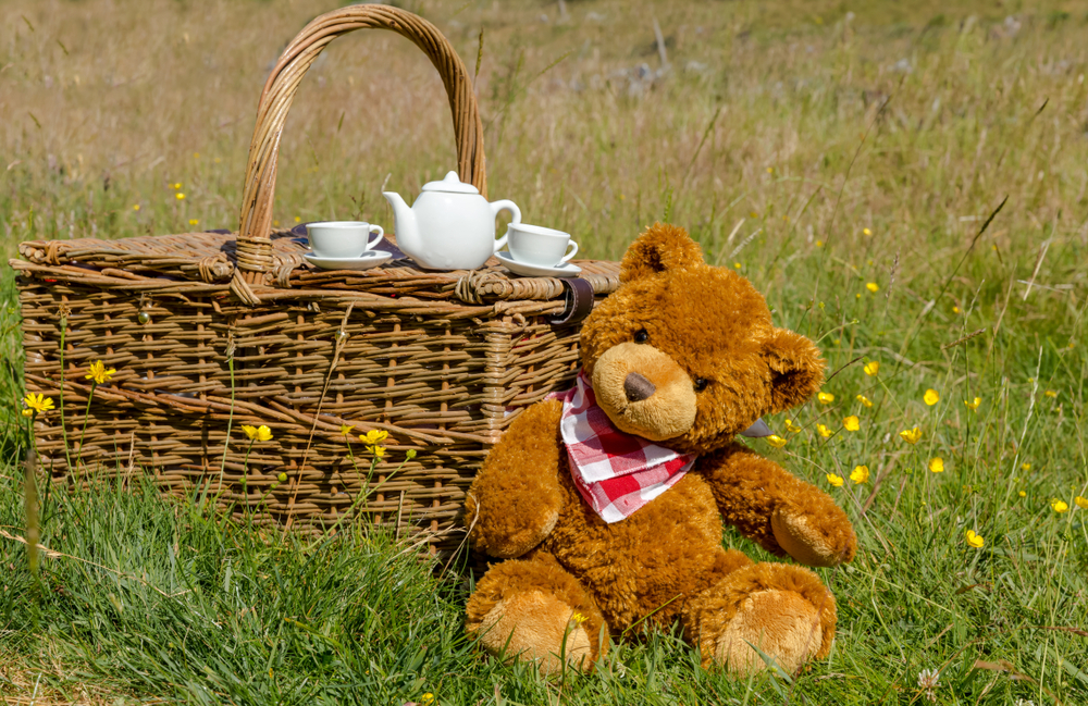 Teddy_bear_picnic.jpg