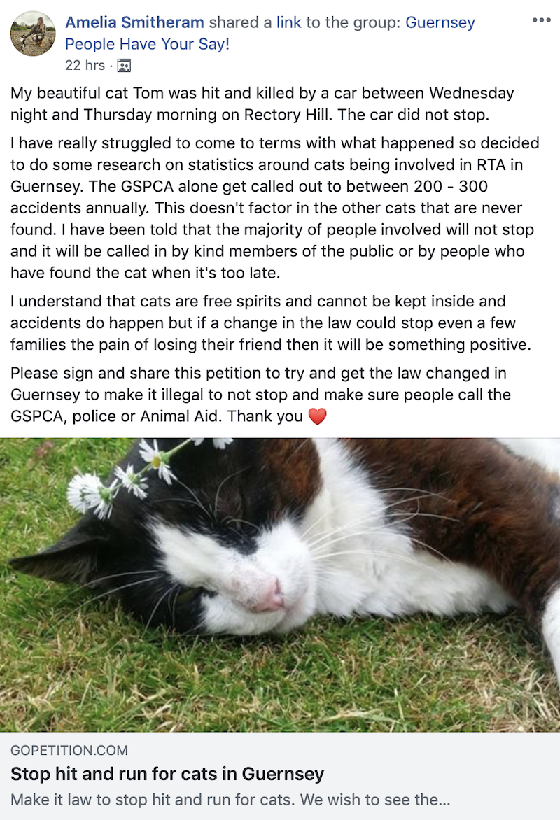 cat petition 