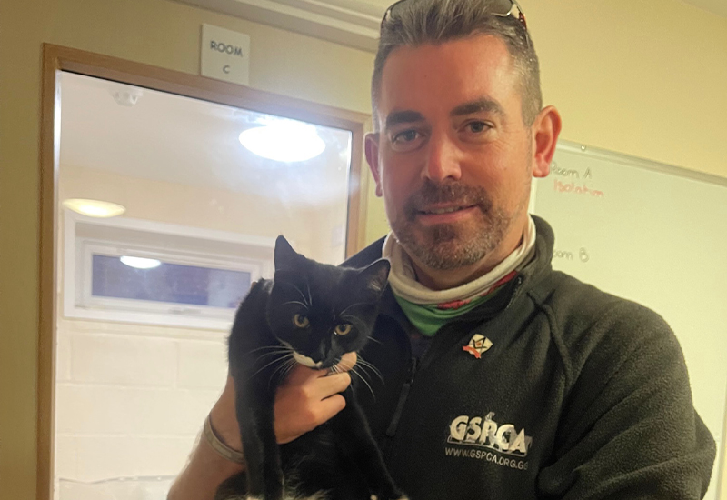 GSPCA helping RSPCA cats Steve Byrne