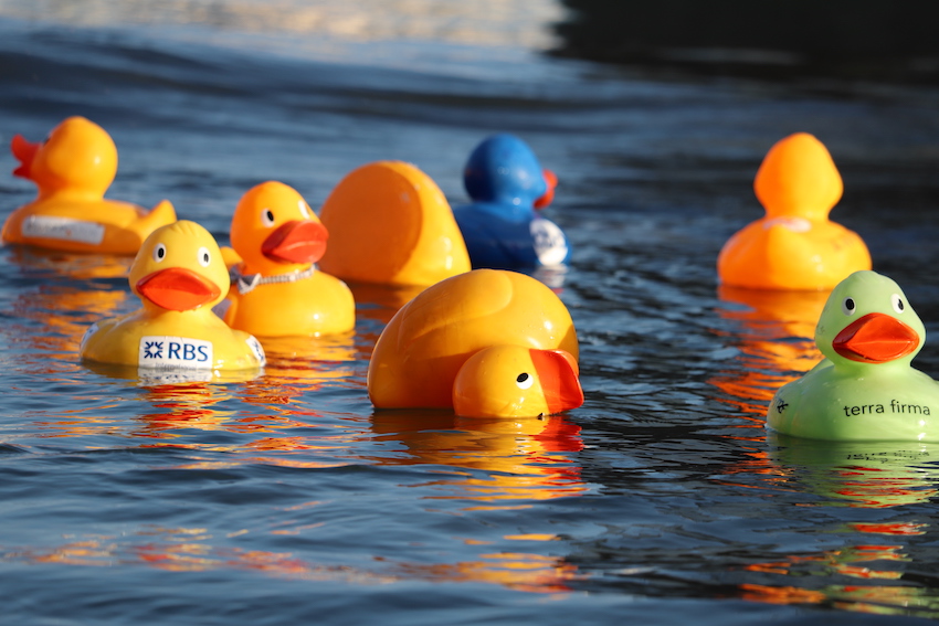 Harbour_Carniva_duck_race.JPG