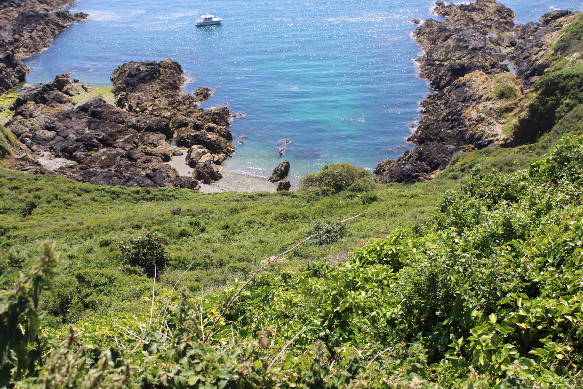 cliff rescue ambulance police fire jerbourg