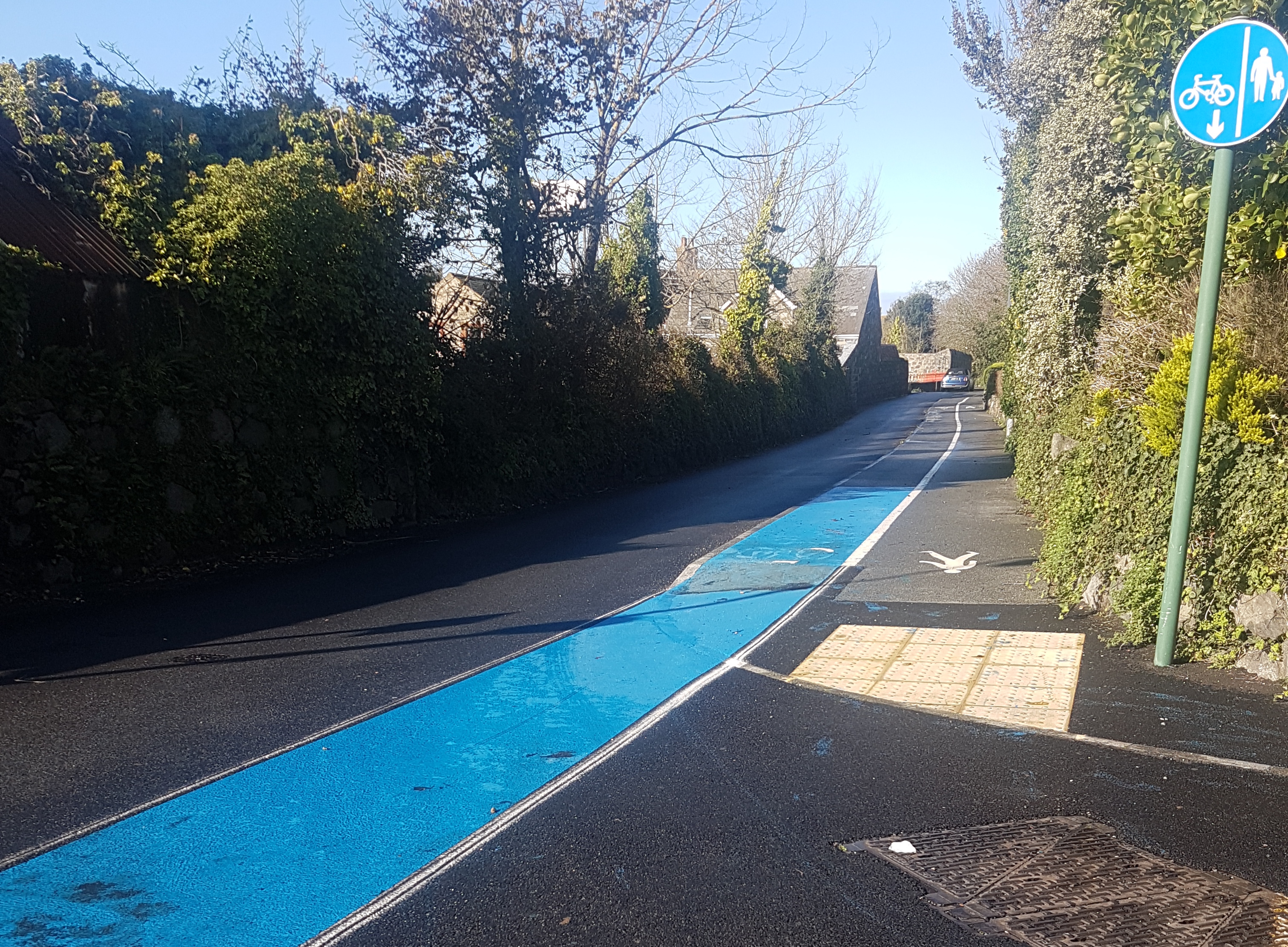 blue cycle path