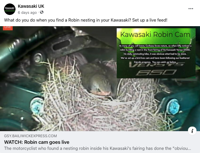 kawasaki UK robin nest