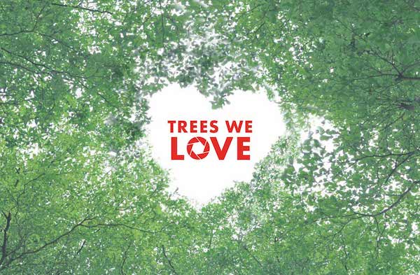 rubis-trees-we-love-poster.jpg