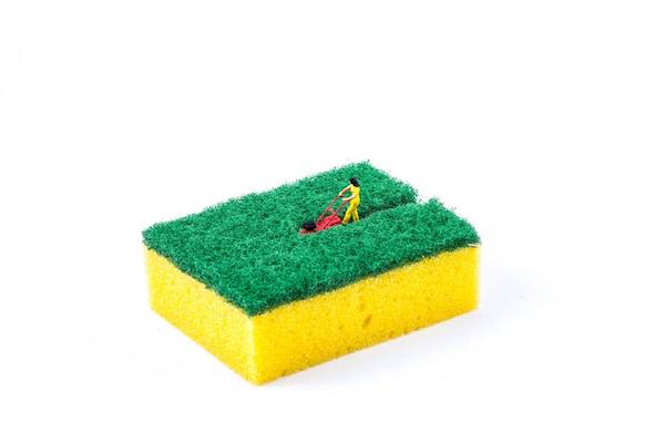 Sponge_mower.jpg