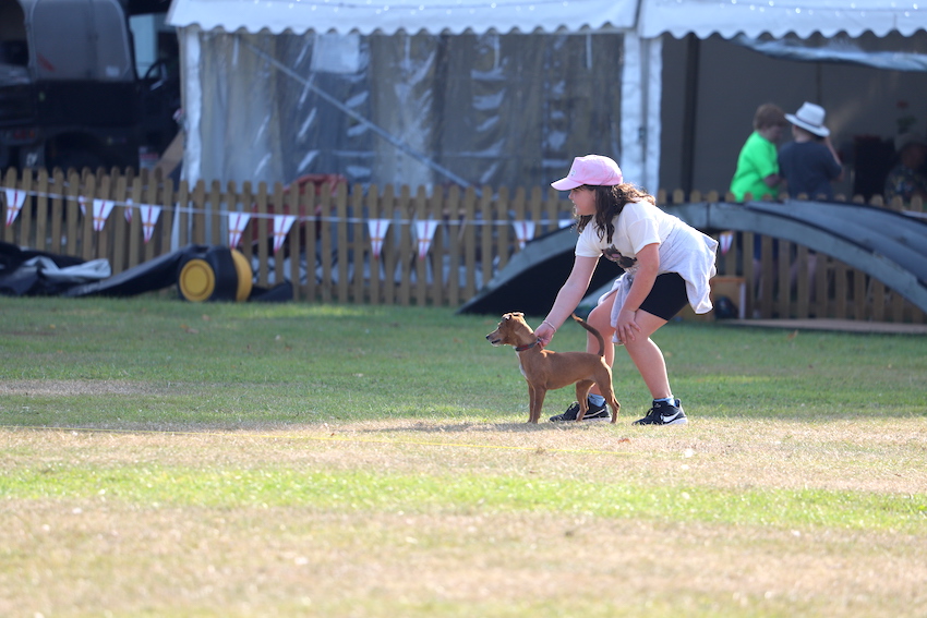 North_Show_2024_volunteer_kid_with_dog.JPG