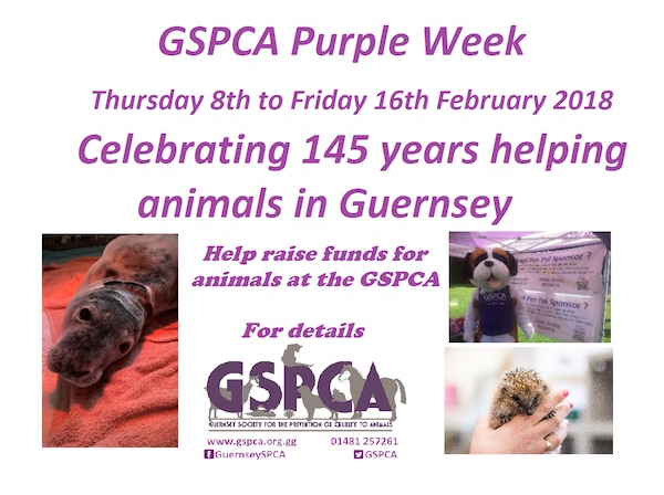 Join_the_GSPCA_Purple_Week__help_raise_funds__celebrate_145_years_Thursday_8th_to_Friday_16th_February_2018.jpg