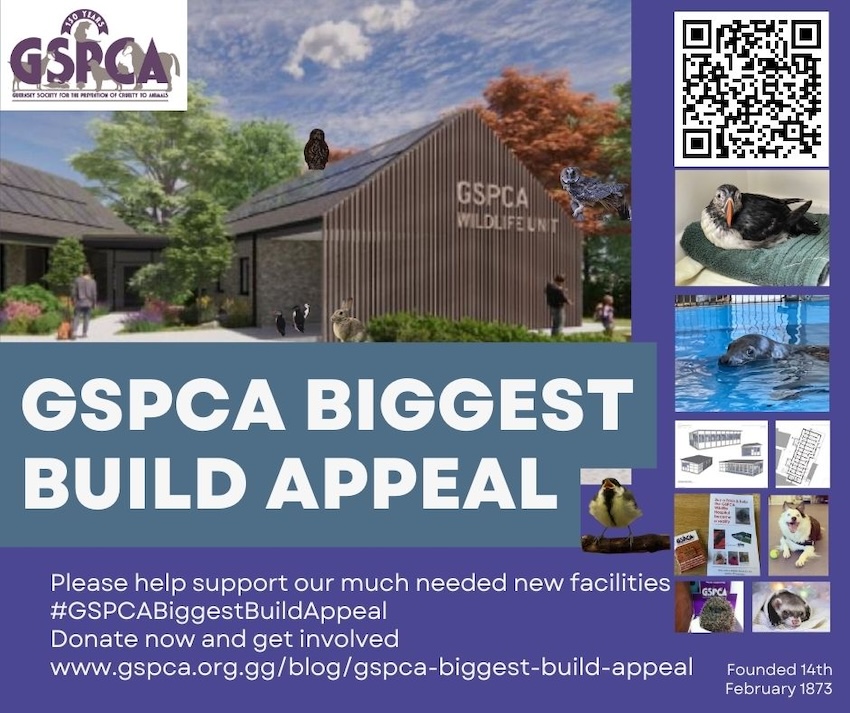 GSPCA-Build-Appeal-web.jpg