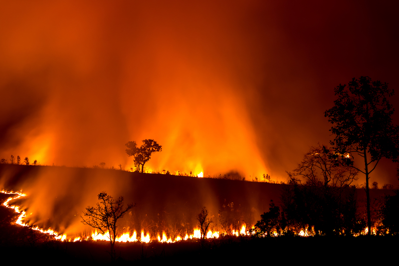 australia_wildfire_bushfire_climate_change.jpg