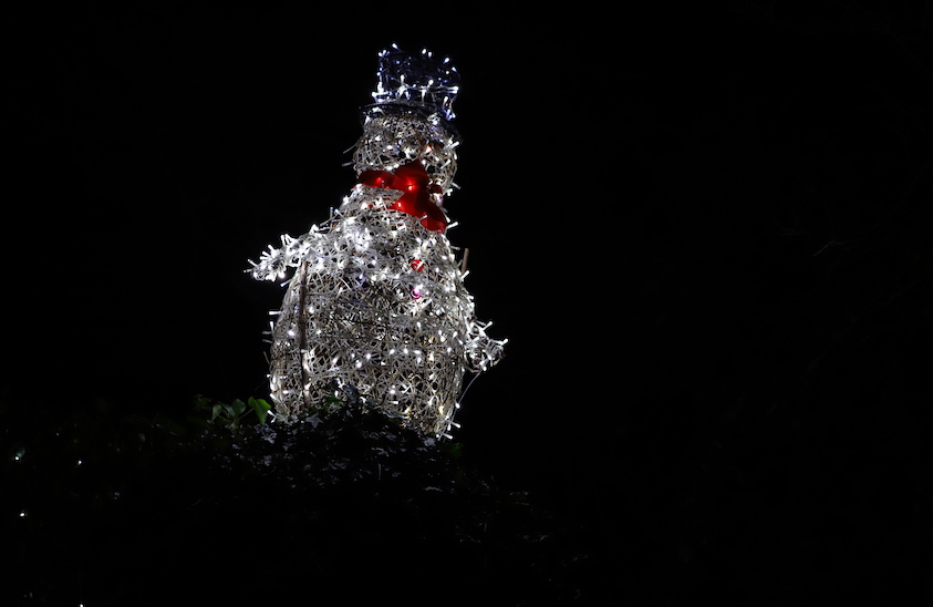 Christmas_Lights_snowman.JPG