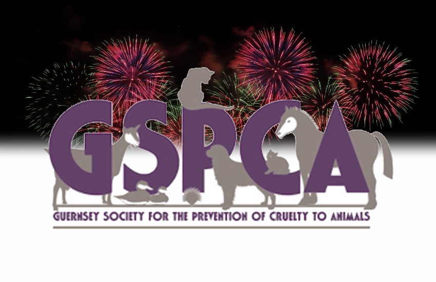 GSPCA_FIreworks.jpg