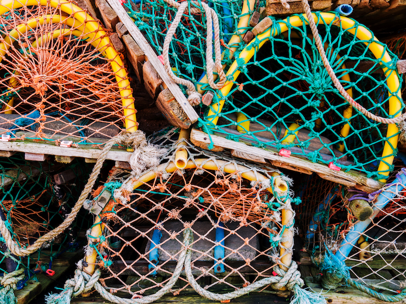 fishing fisherman lobster pots