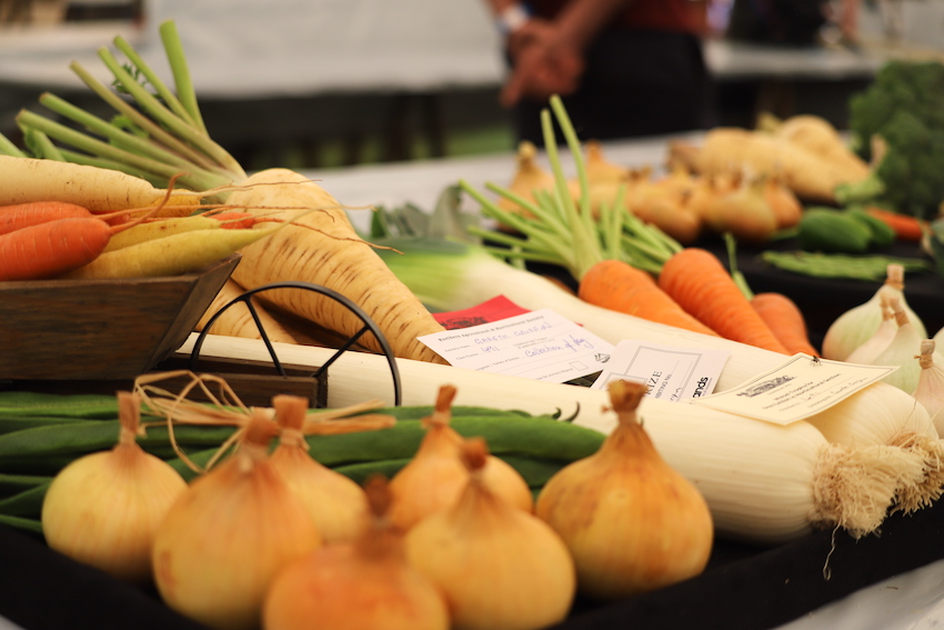 North_Show_2024_vegetable_display.JPG