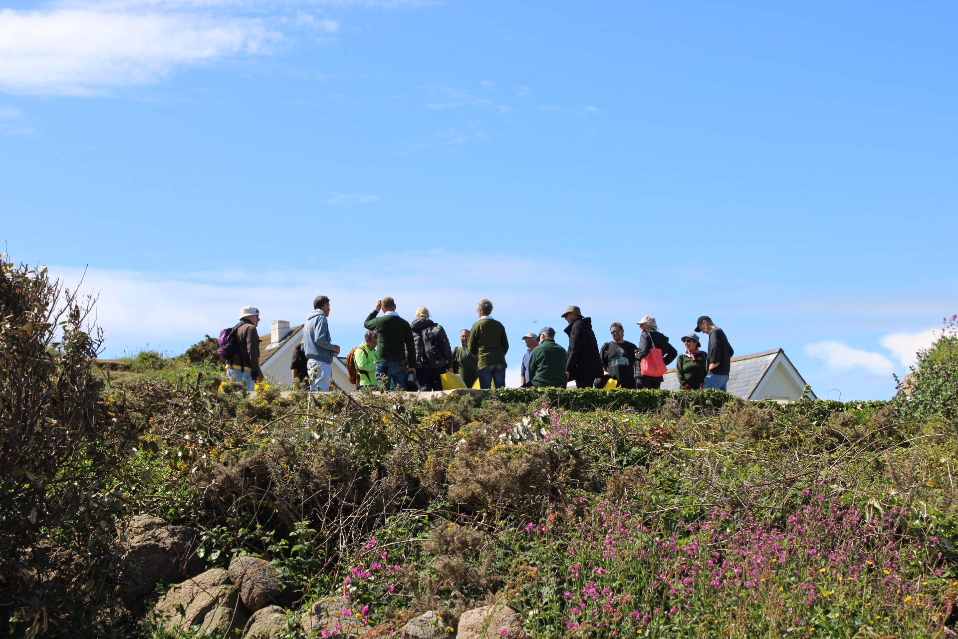 Guernsey conservation volunteers albecq 