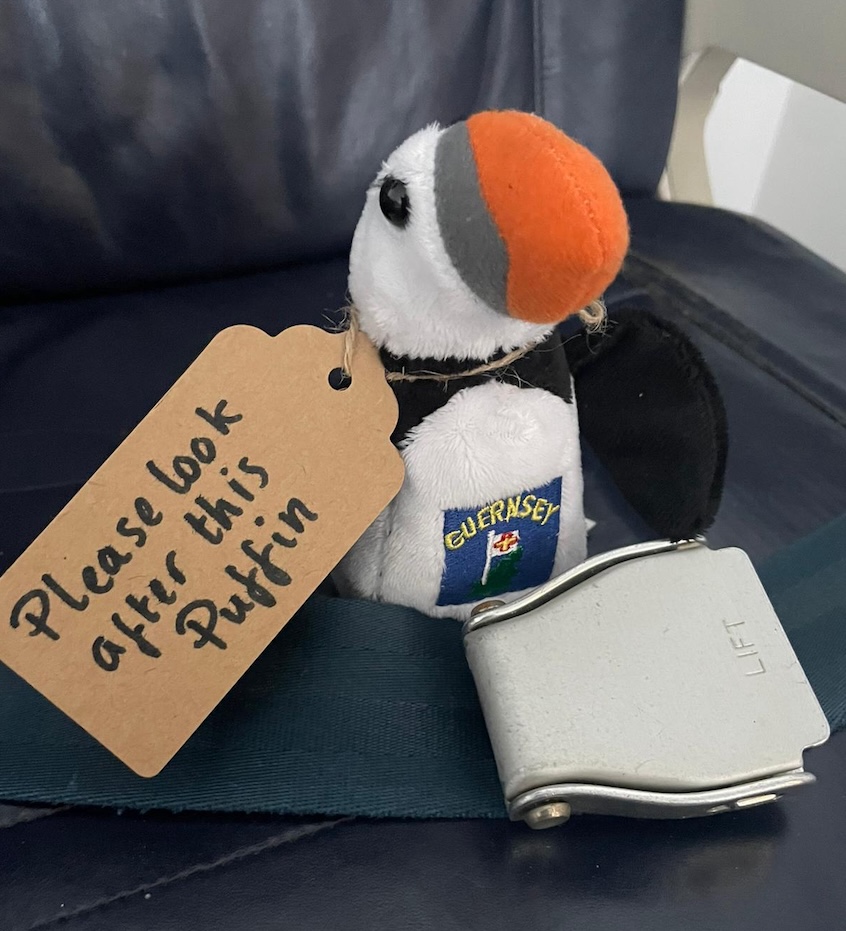 Aurigny_Xmas_Eve_Puffin_.jpg