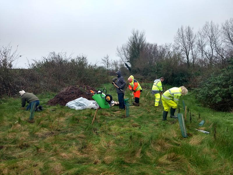 Guernsey water tree planting 