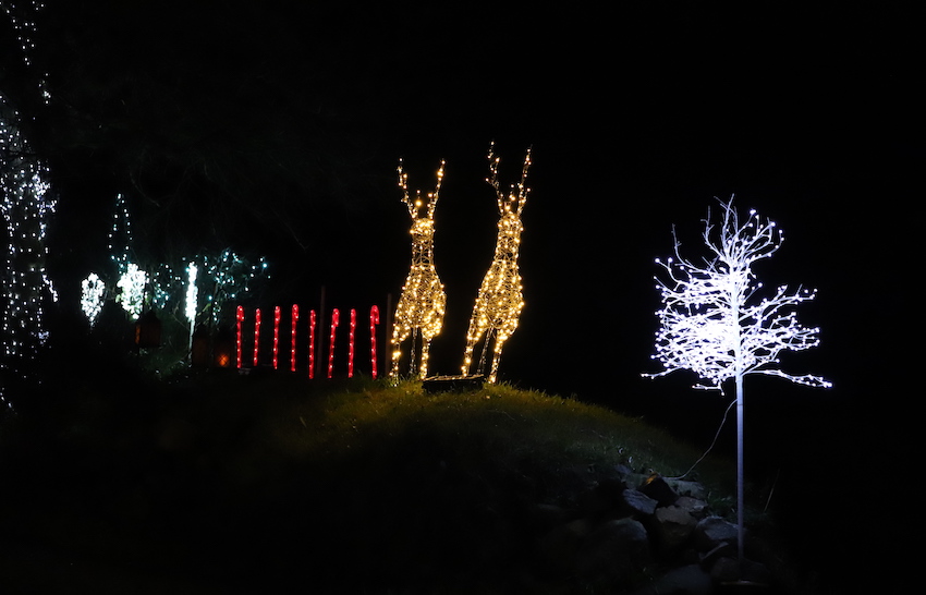 Christmas_Lights_St_Saviours_Rue_du_Hechet.JPG