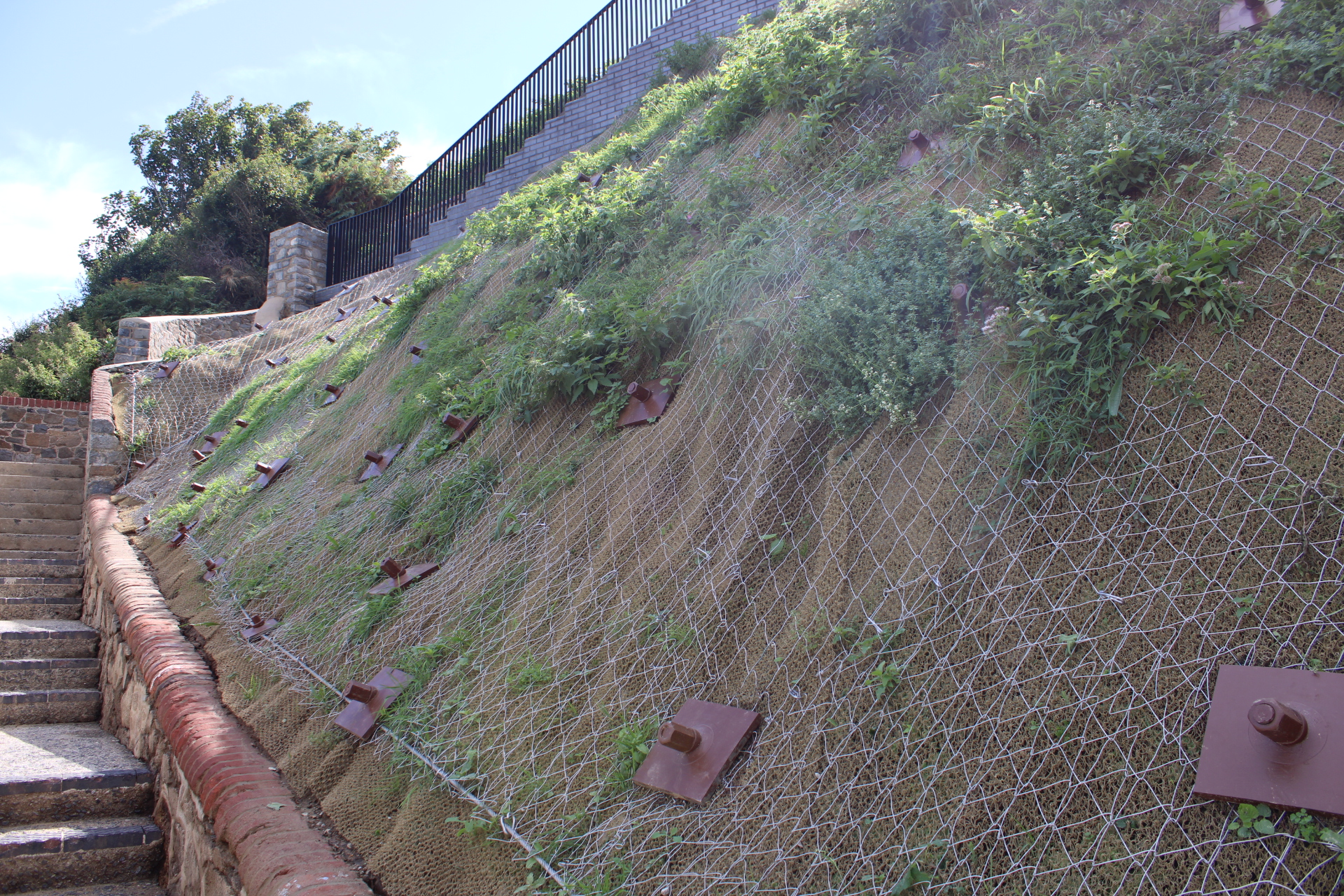 cows horn Clarence Battery la Vallette NSP 