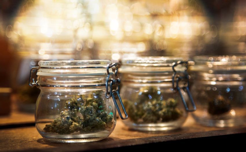 Medicinal cannabis ‘clubs’ on the horizon