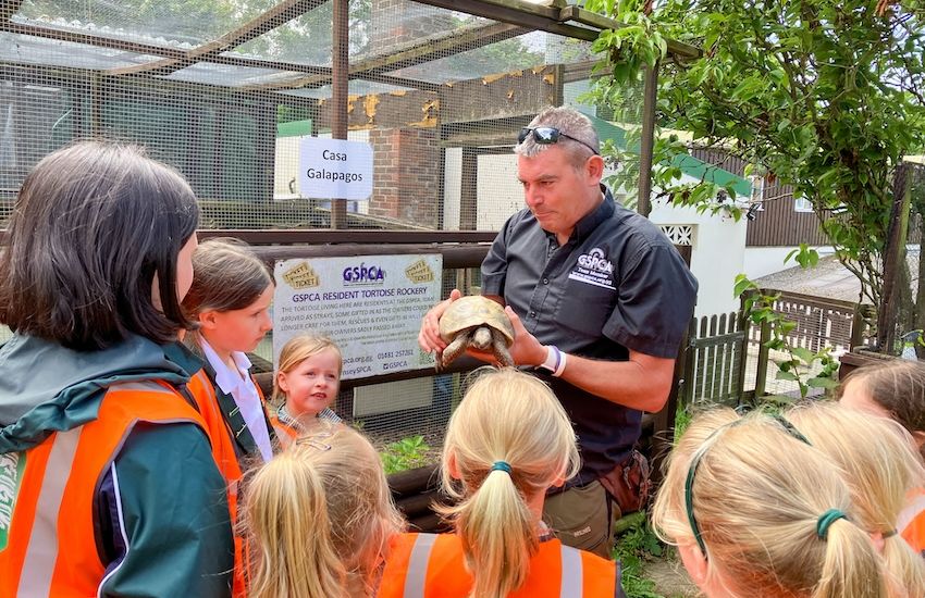 The Ladies' College Melrose pupils visit the GSPCA with generous donations