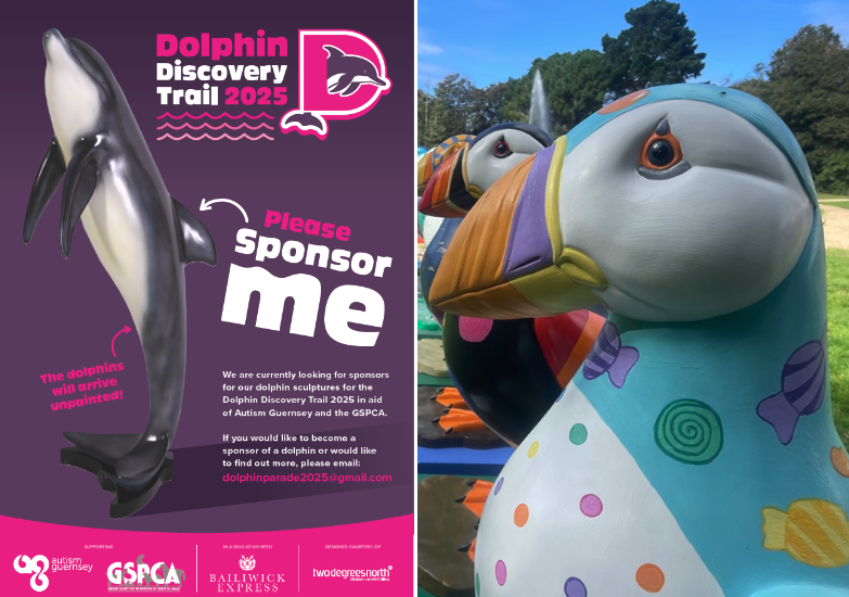 Dolphin Discovery Trail plans progressing