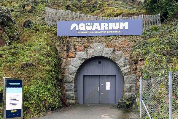 Aquarium closed and exhibits removed