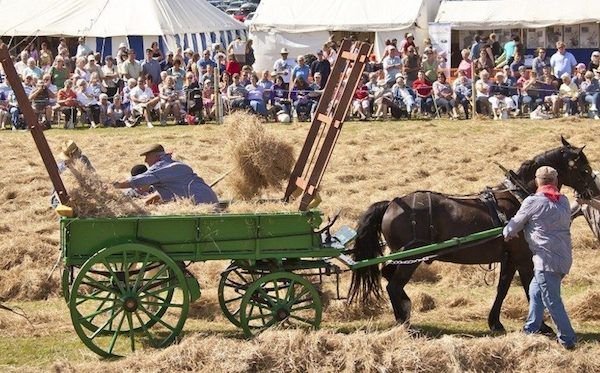 West Show starts today