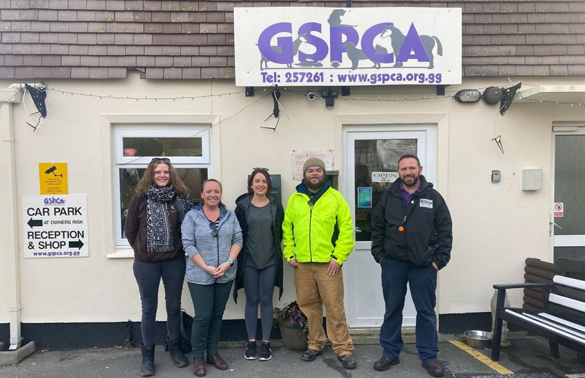 Huge thanks to the Horsepool Consulting staff who helped out at the GSPCA