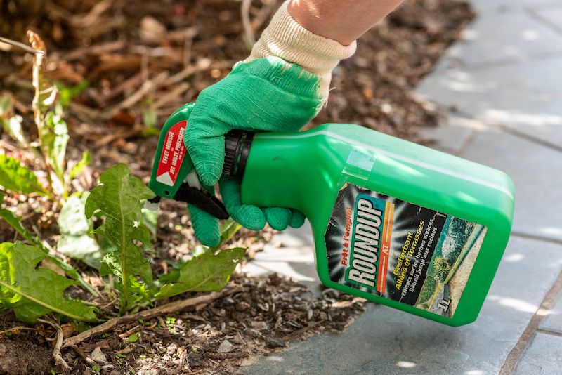 Glyphosate ban thrown out by deputies