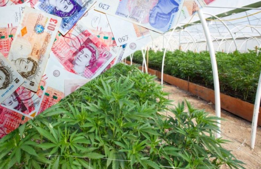 Growers facing £0.5m losses fear 