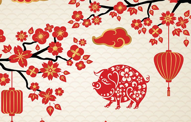 Happy year of the Pig