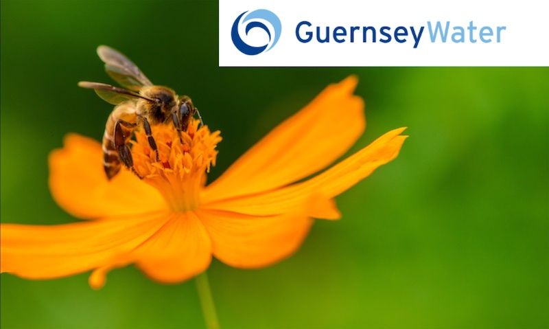 Guernsey Water makes environmental changes
