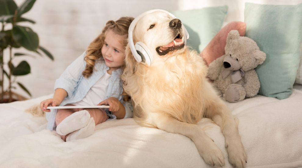 Spotify tunes into pets with personalised playlists for furry friends