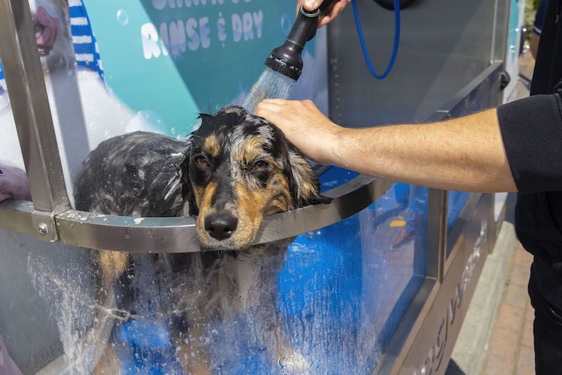 Paw-some new dog wash launched at Co-op En Route