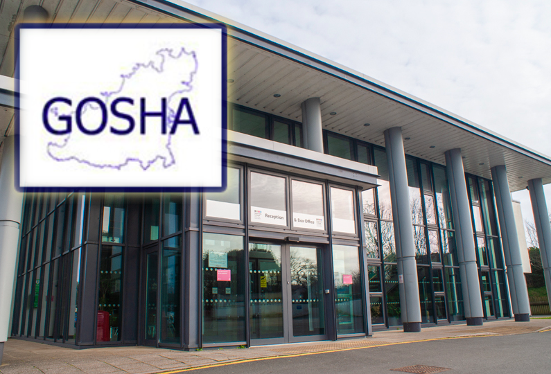 GOSHA plans first conference
