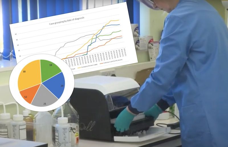 Studying the covid-19 statistics