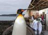 Penguin Walk looking to help raise the roof for Mens Shed